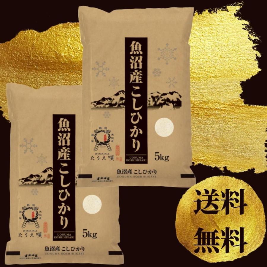 新米 令和5年 魚沼産こしひかり 10キロ 送料無料 令和５年産 期間限定 お米 米 ブランド米 新潟から産直販売 直送10kg