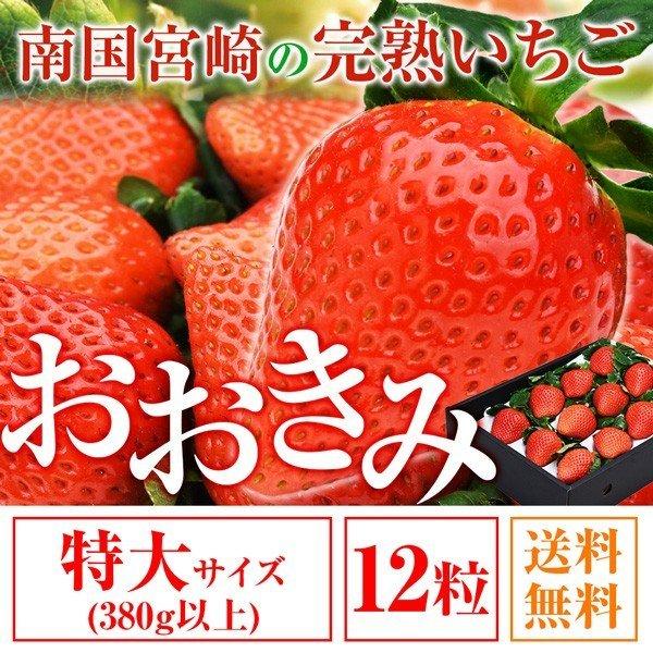 宮崎県産 大粒いちご 380g以上(1粒あたり30〜39g) 日付指定不可 いちご イチゴ 苺