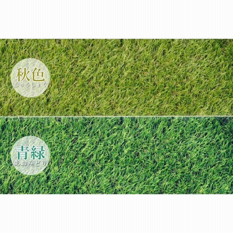 芝生 人工芝 マット シート リアル まるで天然芝 柔らかい 自然 1m×10m