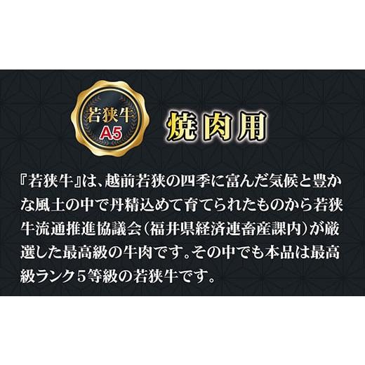 ふるさと納税 福井県 越前市 若狭牛焼肉用（A5ランク）　300ｇ