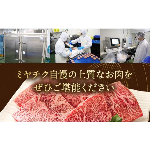 ふるさと納税 宮崎県 宮崎市 宮崎県産 豚ロース トンカツ 5枚 豚ロース しゃぶ 500g×1 豚ヒレ トンカツ 400g×1_M132-029