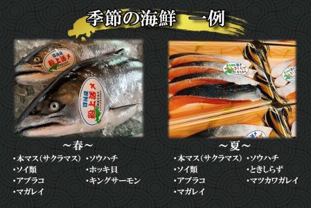 北海道産 旬のお魚 5種以上 豪華 お楽しみ詰め合わせ セット