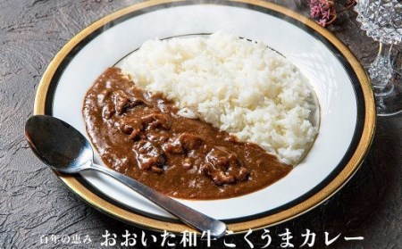 大分県産 ひのひかり 10kg と ご飯のお供 セット（肉味噌・カレー）