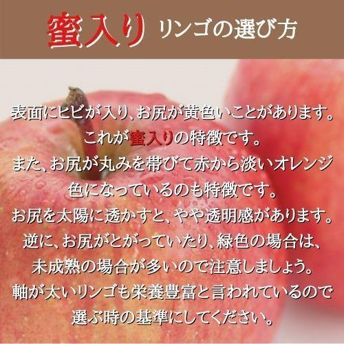  りんご サンふじ 自宅用 S 5kg 箱（約20個入り） 産地直送 送料無料 12月上旬〜 順次発送 福島 りんご屋さとう