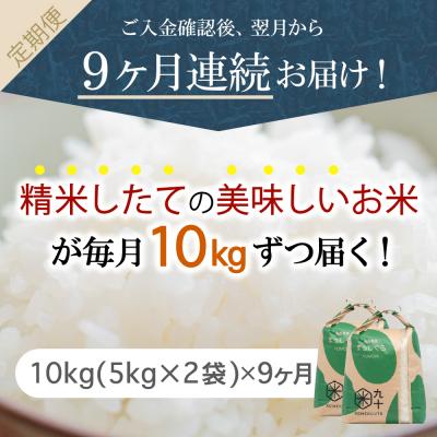 ふるさと納税 五所川原市  米 10kg まっしぐら 青森県産  定期便9回 10kg×9回