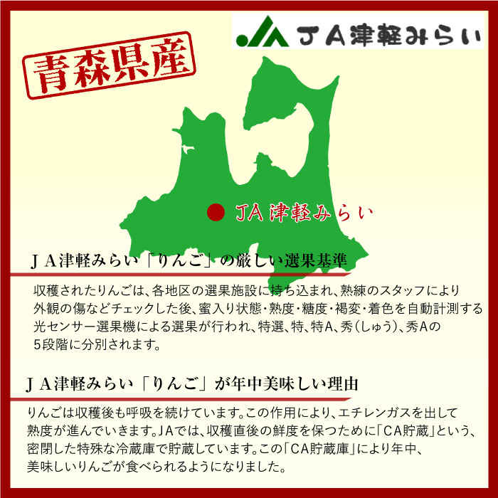 [予約 2023年11月20日-12月31日の納品]  サンふじ 14玉-16玉 大玉 約5kg 青森県産 JA津軽みらい 板柳 黒石販売センター