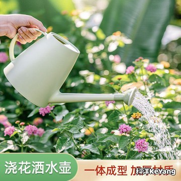 澆花水壺 長嘴澆水壺 大容量 灑水壺 澆菜 家用大號園藝 養花神器噴水壺