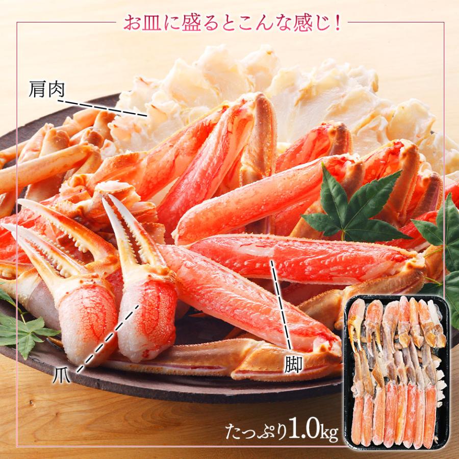 ズワイガニ ずわいがに カニ 蟹 高級 かに 生食可能 お刺身 カニ かに 1.0kg グルメ 送料無料　生ズワイ