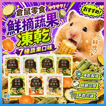 放風寵物【倉鼠零食 鮮摘蔬果凍乾】小動物零食 凍乾蔬果 蔬菜乾 鼠鼠點心 黃金鼠 三線鼠 銀狐 老公公鼠 玉米 秋葵南瓜