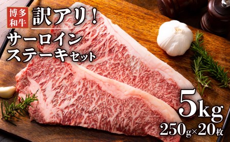 訳アリ！博多和牛サーロインステーキセット　5kg（250g×20枚）