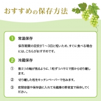 ぶどう 2024年 先行予約 ご家庭用 シャイン マスカット 晴王 優品 2房入り（1房 530g以上 露地栽培） ブドウ 葡萄  岡山県産 国産 フルーツ 果物