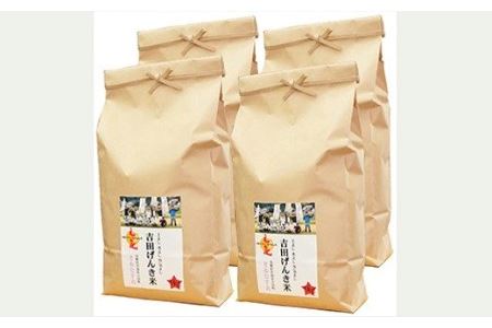 島根県雲南市「吉田げんき米」きぬむすめ20kg（5kg×4）