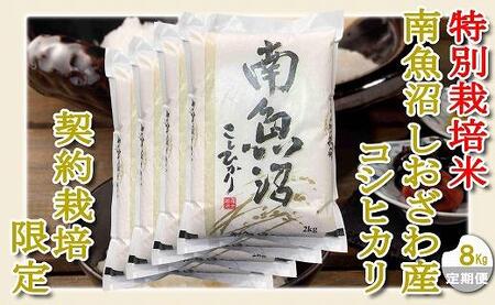 特別栽培 生産者限定  南魚沼しおざわ産コシヒカリ