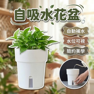 🔥臺灣出貨🔥懶人盆栽 自動吸水 花盆 盆栽 塑膠盆 透明花盆 水泥盆 多肉花盆 水泥花盆 大花盆 花器