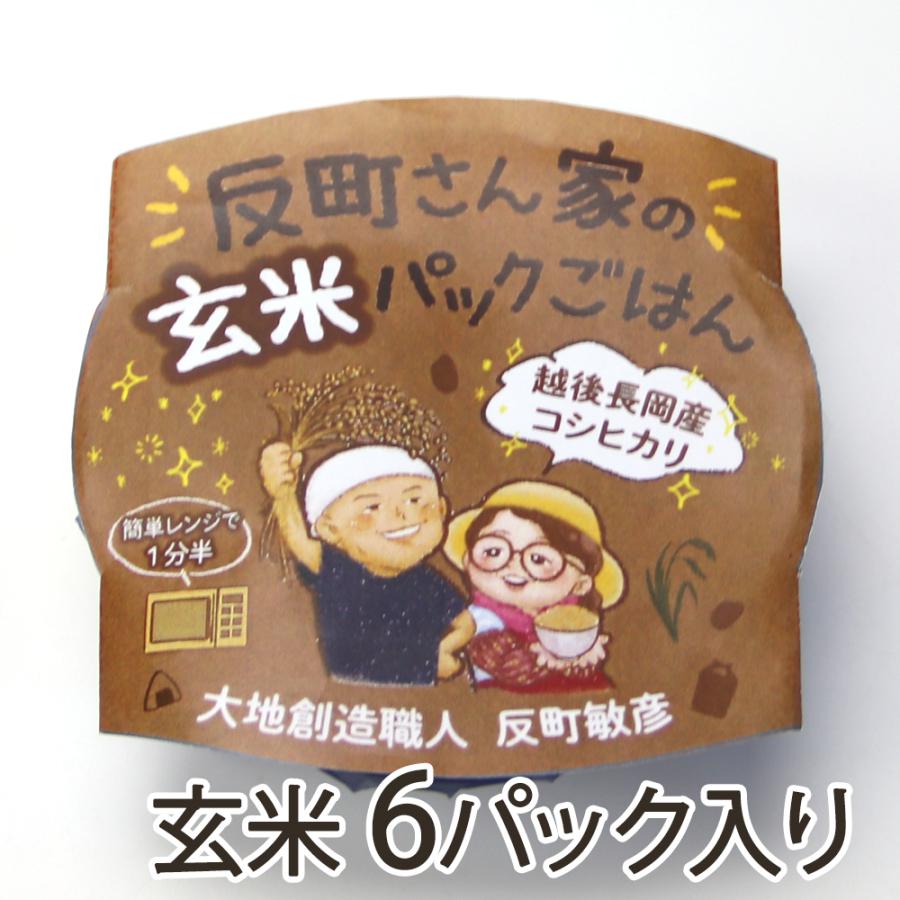 パックごはん 玄米 6パック入り 大地創造職人 反町敏彦 送料無料