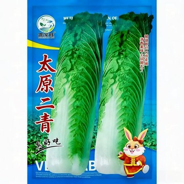 【原廠包裝】太原二青種子（Taiyuan Erqing）4.5克裝 耐熱耐濕 青梗菜/小松菜 庭陽台盆栽 快收成30天