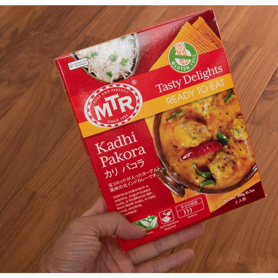 レトルトカレー MTR インド料理 Kadhi Pakora カリ パコラ MTRカレー 野菜 オクラ アジアン食品 エスニック食材