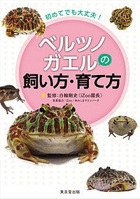 ベルツノガエルの飼い方・育て方 初めてでも大丈夫! 白輪剛史