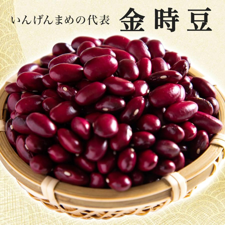 新豆 金時豆 500グラム 令和5年収穫 北海道産  大正金時 いんげん豆