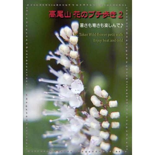 高尾山 花のプチ歩き ふうか