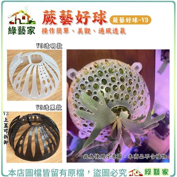 【綠藝家】蕨藝好球-V3 黑色/透明｜鹿角蕨上板 蘭花 鹿角蕨板 水苔球 鹿角蕨球 上鹿神器 附生板