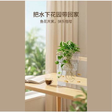 🚚免運🚚臺灣出貨🚀水培植物定植籃掛壁式水草種植杯魚缸造景裝飾綠蘿固定