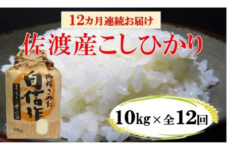 佐渡産高千産こしひかり 10kg