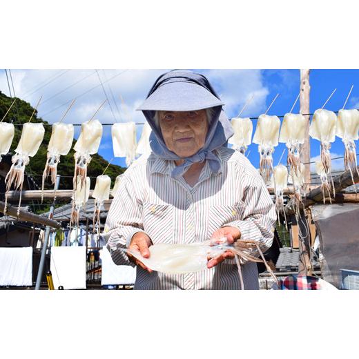 ふるさと納税 高知県 大月町 極厚スルメイカの一日干し 4枚