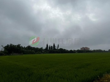 單坪只要1.3萬觀音區新坡金湖方正農地-超便宜｜桃園市觀音區金湖段