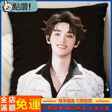 丁程鑫抱枕時代少年團tnt同款宿舍牀頭靠枕送閨蜜沙發靠背可拆洗 文創 周邊 丁程鑫週邊 時代少年團周邊 時代少年團娃娃