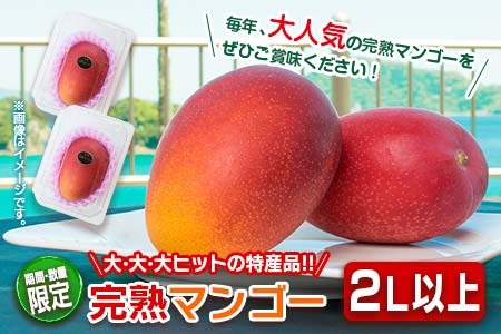 ≪数量限定≫日南市産完熟マンゴー(2L以上×4玉) フルーツ 果物 国産 令和6年発送分_EA11-23