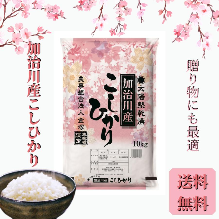 新米  令和５年産 お米 10kg 太陽熱乾燥 新潟 加治川産 コシヒカリ 10kg