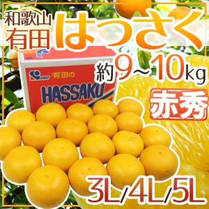 和歌山有田産 ”AQはっさく” 赤秀 超大玉3L 4L 5Lサイズ 約9～10kg 送料無料