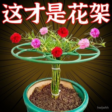 臺灣🚍8H出🉑太陽花棒棒糖支架單層多層支撐架植物造型爬藤固定太陽花架 A3NA