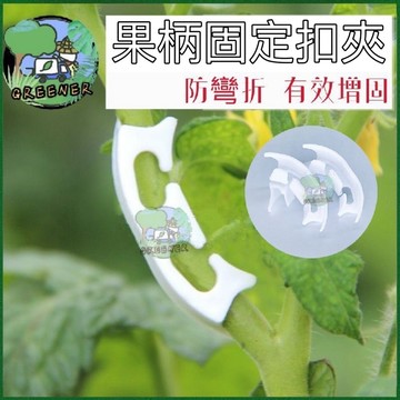 🌿園藝人🌿果柄固定扣夾 果柄生長夾扣 果柄固定器 果柄固定扣 （50入）防彎曲藤蔓生長扣 增固
