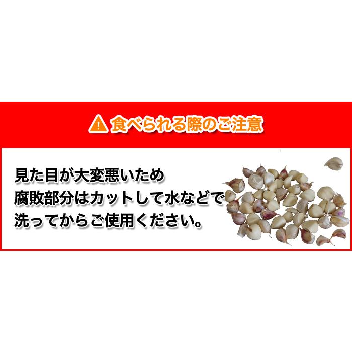 訳あり にんにく 粒不揃い 青森県産にんにく ホワイト六片にんにく 完全訳あり メール便 送料無料