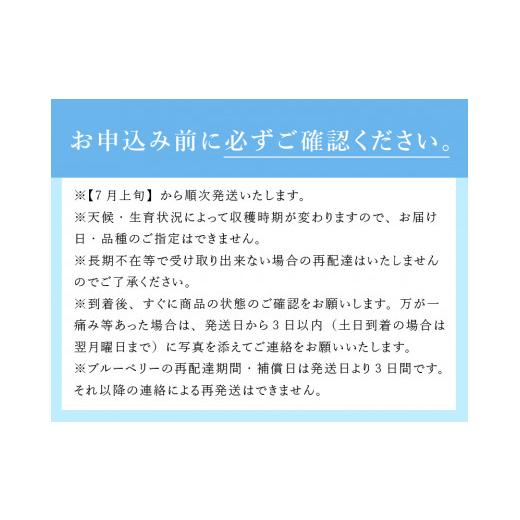 ふるさと納税 山梨県 北杜市 7月〜9月発送！農家秘蔵の極甘ブルーベリー　中粒1kg（250g×4パック）