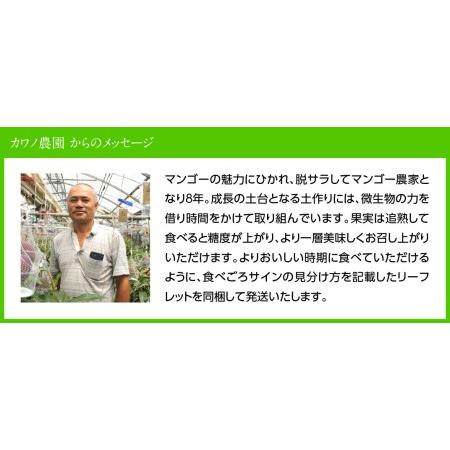 ふるさと納税 宮崎県産完熟マンゴー「果実の宝石」４Ｌ×１玉【期間限定 数量限定 先行予約 果物 フルーツ マンゴー 宮崎県.. 宮崎県川南町