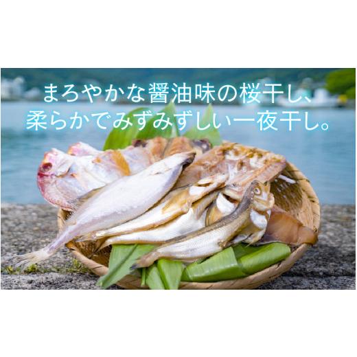 ふるさと納税 福井県 高浜町 鯖 アジ カマス ハタハタ 桜干し 季節の魚種一夜干し 旬の干物 5品セット(旬の干物セット)