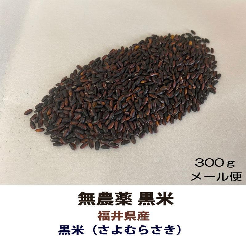 無農薬 黒米 メール便 令和5年産 送料無料 古代米 300ｇ 500g 800g