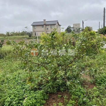 新屋合法資材室｜桃園市新屋區崁頭厝