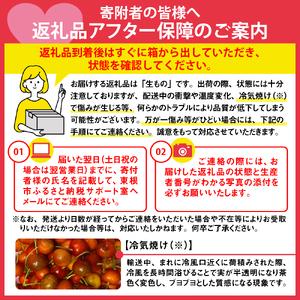 ふるさと納税 GI「東根さくらんぼ」佐藤錦700gバラ詰め(350g×2ハ゜ック) 東根農産センター提供 山形県東根市