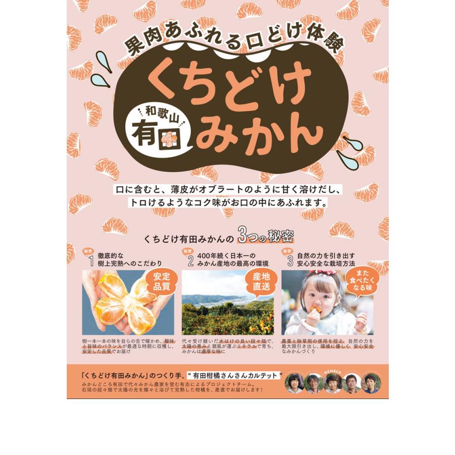 お歳暮　みかん 贈答用 完熟 有田みかん 5kg 贈答用 和歌山県 有田市産 甘い小玉 混合 有田ミカン ギフト 冬ギフト 果物 フルーツ 送料無料　和歌山みかん