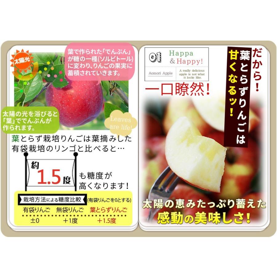 葉っぱの影は甘さのサイン家庭用(13-23玉×2段)青森 送料無料 [※産地直送のため同梱不可]「GOLD」