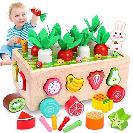 Montessori Toys for Year Old Boy Girl Carrot Harvest Game Wooden