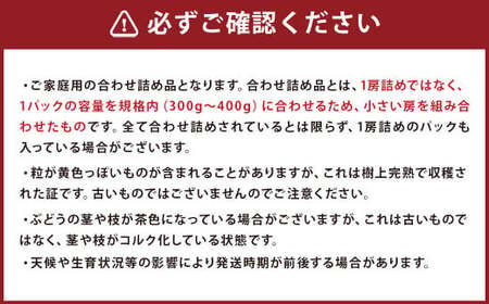  訳あり ご家庭用 シャインマスカット 3パック 約1kg ぶどう