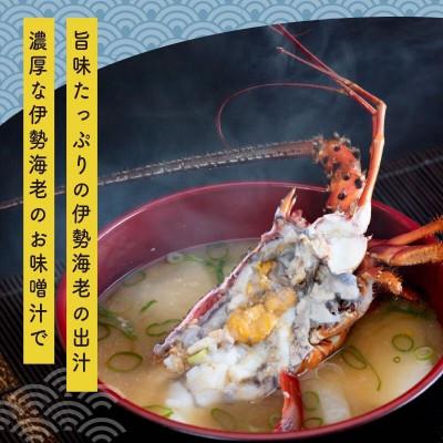 ふるさと納税 須崎市  訳あり 冷凍 伊勢海老 1〜2匹 (400g〜500g)