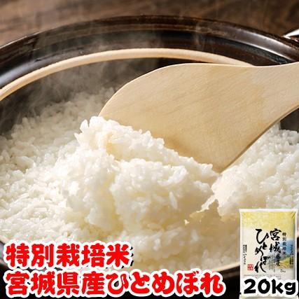 お米 20kg(5kgx4) 宮城県産 ひとめぼれ 米 令和4年産 特別栽培米 内のし対応 贈り物