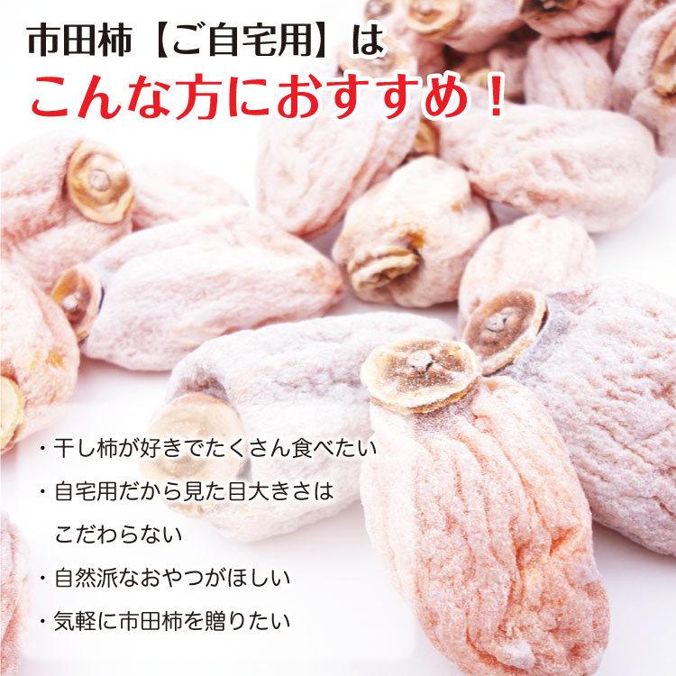 干し柿 市田柿 送料無料 市田柿800ｇ×2袋 自宅用 徳用 得用 長野県 南信州 特産 柿 ドライフルーツ 果物 スイーツ