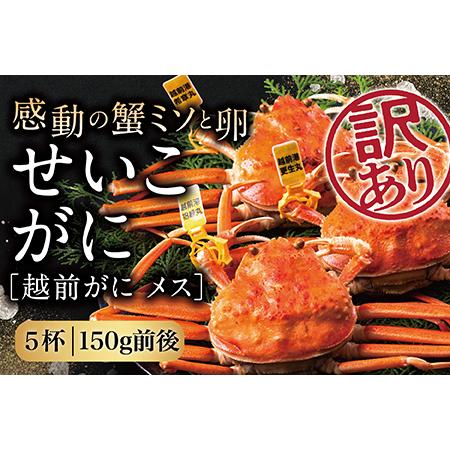 ふるさと納税 越前がに（メス）「せいこがに」訳あり 150g前後 ×  5杯 福井県越前市